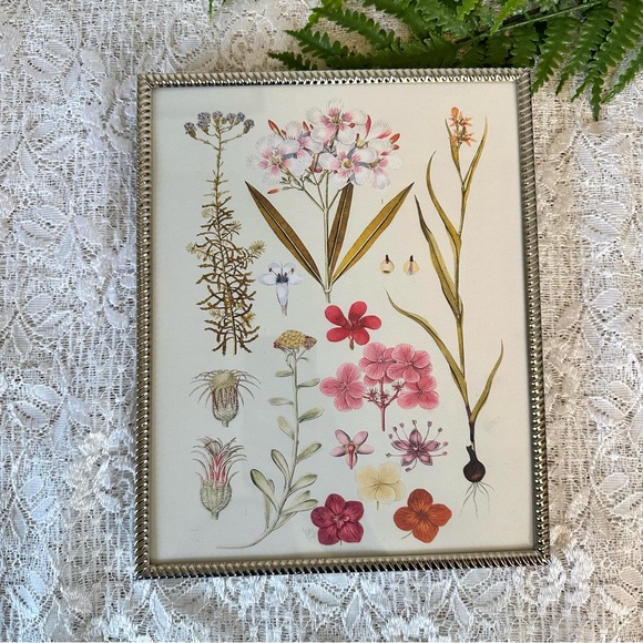 Silver Framed Pink Floral Decor 8x10 - Picture 1 of 4